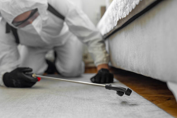 Professional Bed Bug Control technician working in Lynnwood, WA