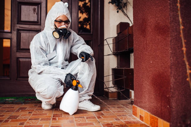 Reliable Bed Bug Control contractor in Lynnwood, WA by Nex Pest Control