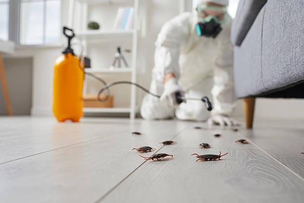 Trusted Cockroach Control service in Lynnwood, WA - Nex Pest Control