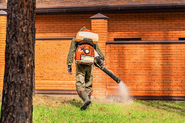 Trusted Bed Bug Control service in Lynnwood, WA - Nex Pest Control